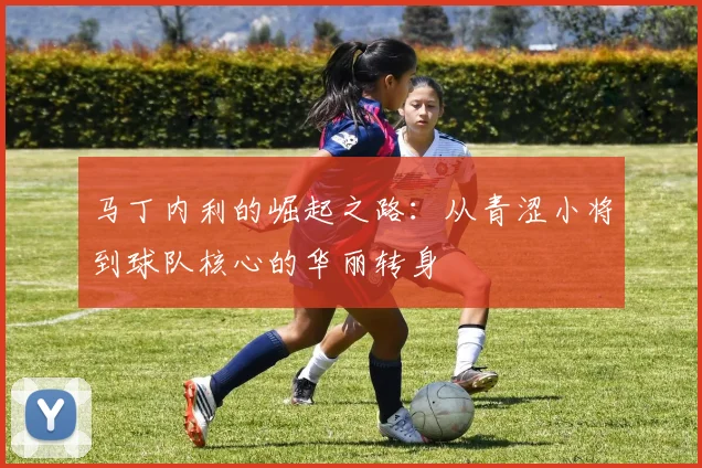 马丁内利的崛起之路：从青涩小将到球队核心的华丽转身