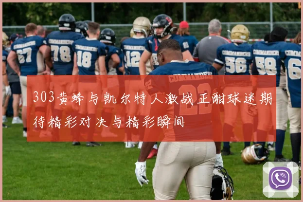 303黄蜂与凯尔特人激战正酣球迷期待精彩对决与精彩瞬间