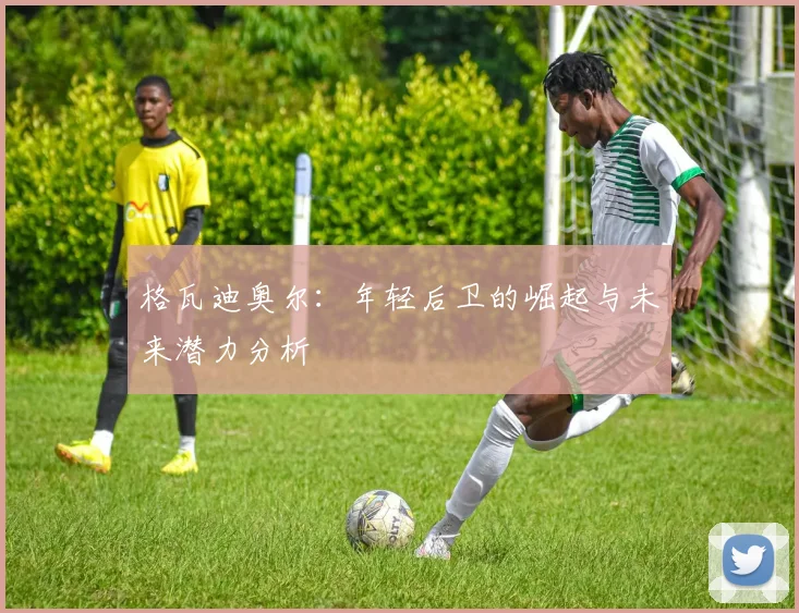 格瓦迪奥尔：年轻后卫的崛起与未来潜力分析
