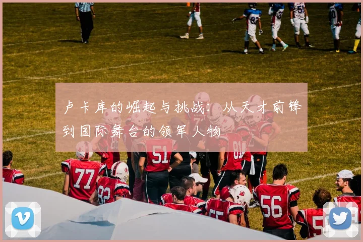 卢卡库的崛起与挑战：从天才前锋到国际舞台的领军人物