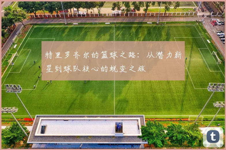 特里罗齐尔的篮球之路：从潜力新星到球队核心的蜕变之旅